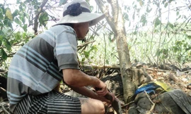 Bỗng dưng nhặt được cả… thùng vàng