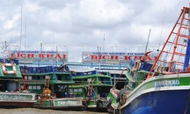 Liên kết vươn khơi làm ăn lớn