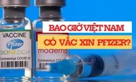 Pfizer nỗ lực để đưa liều vắc xin ngừa COVID-19 đầu tiên về Việt Nam trong tháng 7