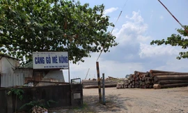 Đất công bị chiếm giữ như chốn không người ở TPHCM, Bình Dương