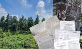 Thu hồi chục nghìn m2 đất của dân ở Bình Dương không có quyết định?