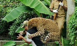 Hãi hùng cảnh báo nhảy lên cắn cổ kiểm lâm