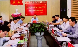 Ủy ban Kiểm tra Tỉnh ủy Lạng Sơn đề nghị xem xét, kỷ luật hai cán bộ ở địa phương có dấu hiệu vi phạm .Ảnh: LS