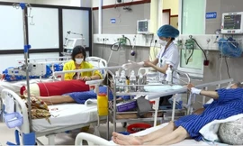 Ăn sâu lạ, 3 người bị cấp cứu. Ảnh: TL