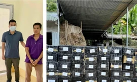Bắt vụ vận chuyển số lượng lớn thuốc lá, rượu ngoại qua biên giới