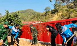 Trồng cây, gây rừng tại biên giới Ba Sơn, huyện Cao Lộc, Lạng Sơn -Ảnh: Duy Chiến 