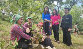 Giao lưu văn nghệ mừng mùa hạt dẻ bội thu. Ảnh: Duy Chiến 