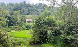 Hiện trường vụ việc -Ảnh: HL