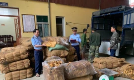 Thu giữ hàng chục tấn thuốc lá không có giấy tờ nguồn gốc.