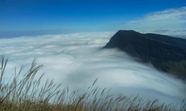 Trên đỉnh Núi Cha, nơi cao nhất dãy núi Mãu Sơn, mây mù bao phủ, nom rất kỳ thú -Ảnh: Ngọc Minh 