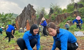 Tích cực trồng cây, gây rừng.