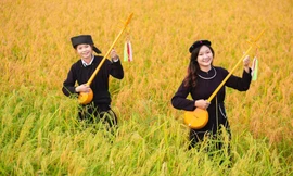 Mùa vàng Bắc Sơn. Ảnh: Ánh Dương