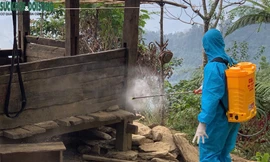 Phòng chống dịch bệnh trên địa bàn huyện Bảo Lâm