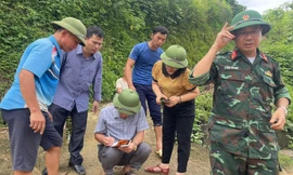 Kiểm tra hiện trường sự việc (ảnh: BK)