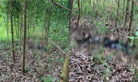 Hiện trường sự việc. 