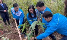 Nhiều công trình, phần việc ý nghĩa của tuổi trẻ Lạng Sơn 