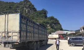 Bãi kiểm hóa Bảo Nguyên ở cửa khẩu Tân Thanh nhộn nhịp từ khi Trung Quốc nối thông thương trở lại vào sáng 25/1 -Ảnh: Duy Chiến 