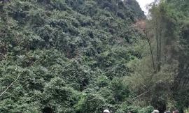 Hiện trường vụ giết người ở thôn Bầm, xã Quyết Thắng, huyện Hữu Lũng (Lạng Sơn) -Ảnh: TL