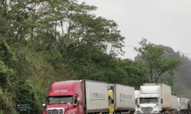 Mặt hàng ớt tươi và hàng nông sản Việt Nam vẫn xuất khẩu bình thường sang Trung Quốc qua cửa khẩu Tân Thanh (Lạng Sơn) .Ảnh: Duy Chiến