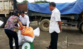 Người dân Cao Bằng nhận gạo cứu trợ