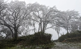 Đỉnh Phja Oắc, Mẫu Sơn xuống dưới 0 độ C, băng giá bao phủ trắng