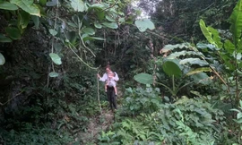 Vừa bồng con, vừa dò đường vượt biên giới, người phụ nữ bị lực lượng Biên phòng ngăn chặn khi vào lãnh thổ Việt Nam. - Ảnh: TL