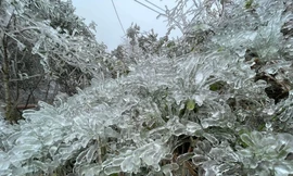 Băng tuyết ở Cao Bằng.