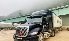 Xe ô tô chở 22 tấn mít có dấu hiệu hoán đổi "lốt" hiện đang bị tạm giữ để điều tra -Ảnh: Duy Chiến 