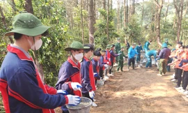 Học sinh xứ lạng hào hứng tham gia xây dựng đường lên cột mốc biên giới -Ảnh: Duy Chiến 