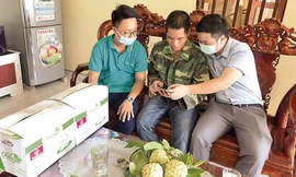 Giúp người nông dân quảng bá sản phẩm trên mạng xã hội.