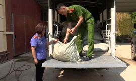 Tang vật vụ buôn bán, vận chuyển chân gà ở Tràng Định. Ảnh: Q.T