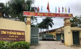 Công ty CP Trung Việt, nơi ông Chung và thuộc cấp đã cấu kết lập hồ sơ giả, chiếm đoạt tiền hỗ trợ dịch tả châu phi .Ảnh: Duy Chiến 