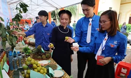 Tuổi trẻ Lạng Sơn hào hứng với sản vật riêng có của quê hương -Ảnh: Duy Chiến 