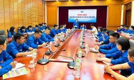 Sôi nổi thảo luận. 