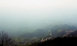 Mẫu Sơn nhiệt độ giảm sâu -Ảnh: TL