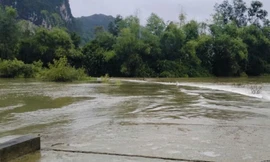 Hiện trường sự việc. 