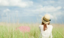 Cảm xúc tháng mười hai