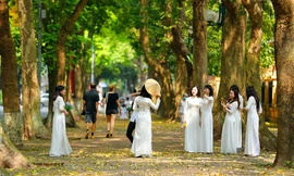 Hà Nội đẹp nao lòng mùa lá rụng