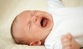 Ảnh minh hoạ: Internet