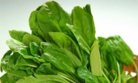 Ảnh minh hoạ: Internet