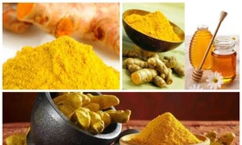 Ảnh minh hoạ: Internet