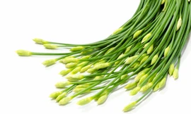 Ảnh minh hoạ: Internet