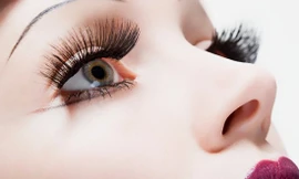 Ảnh minh hoạ: Internet