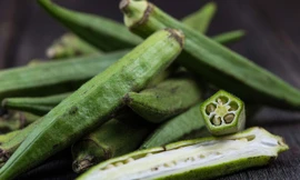 Ảnh minh hoạ: Internet