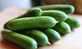 Ảnh minh hoạ: Internet