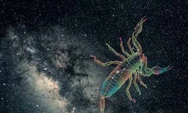 Ảnh minh họa: Internet