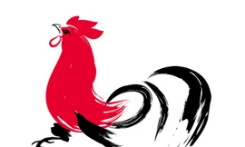 Ảnh minh họa: Internet