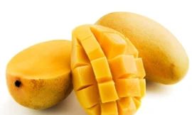 Ảnh minh hoạ: Internet