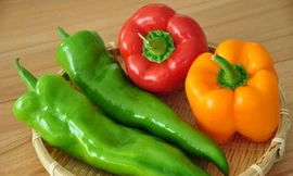 Ảnh minh hoạ: Internet