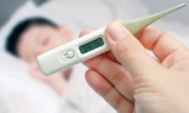 Ảnh minh hoạ: Internet